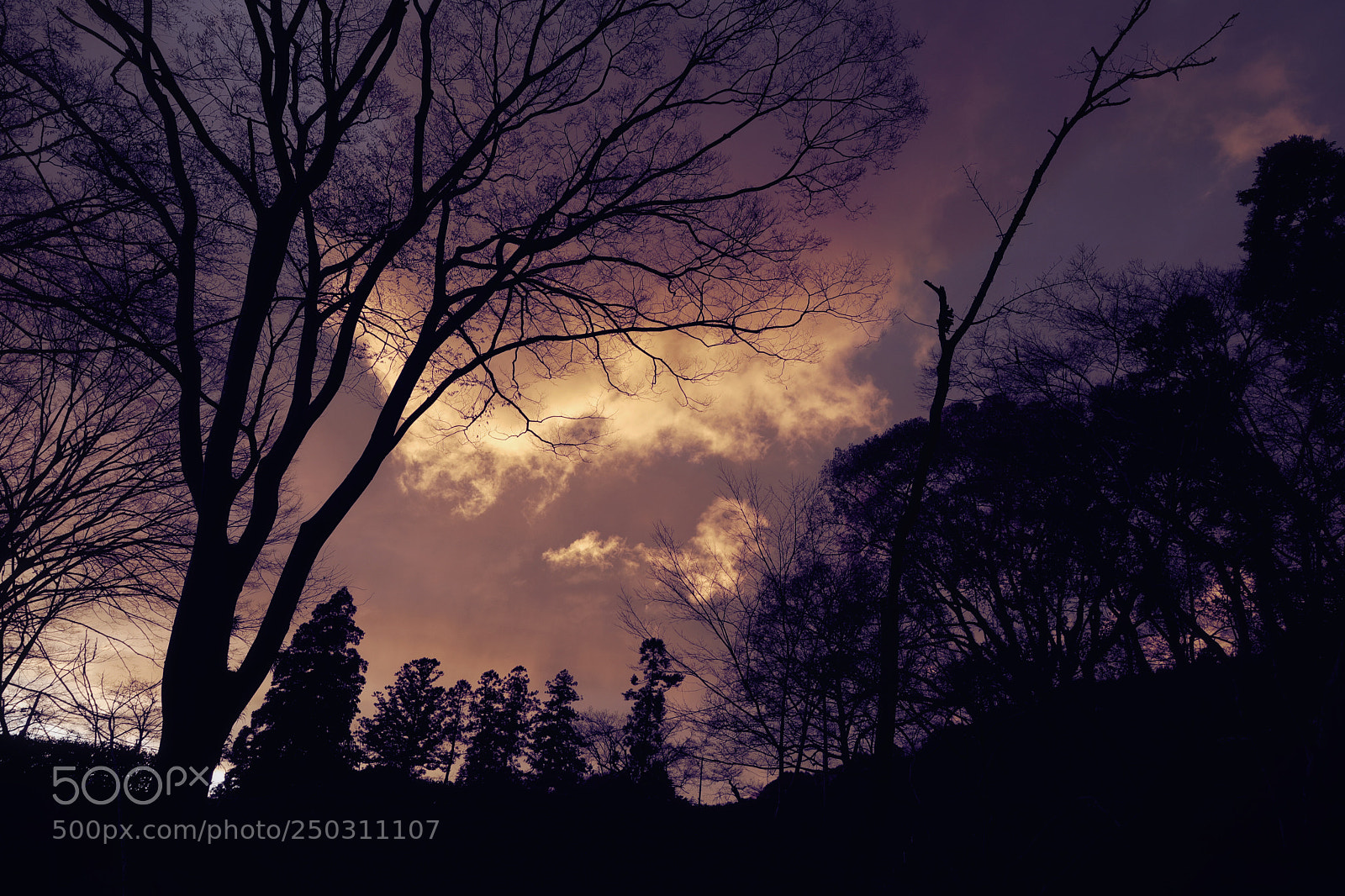 Canon EOS 5D Mark IV sample photo. Untitled photography