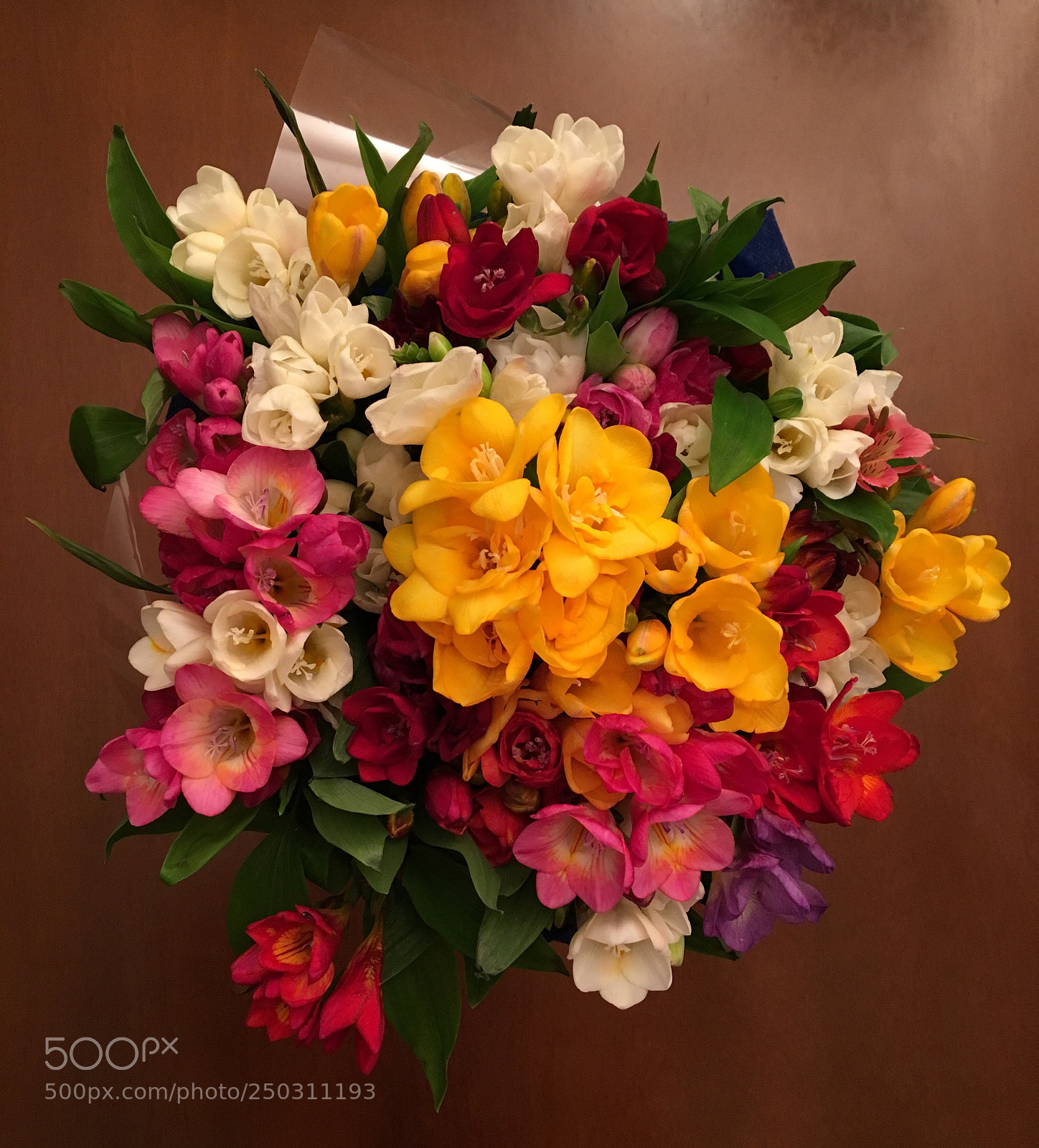 Apple iPhone 6s sample photo. Freesia photography