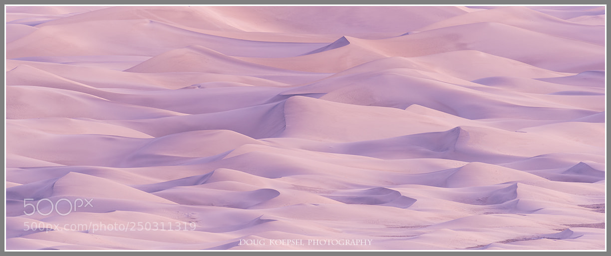 Nikon D810 sample photo. Pink sands photography