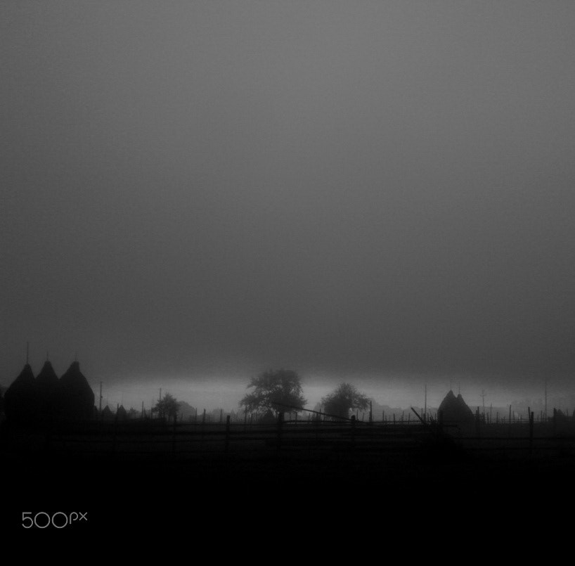 Sony DSC-W35 sample photo. Misty in bucovina photography