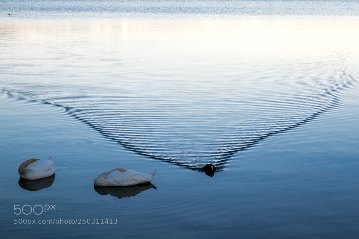 Fujifilm X-T1 sample photo. Morning silence photography