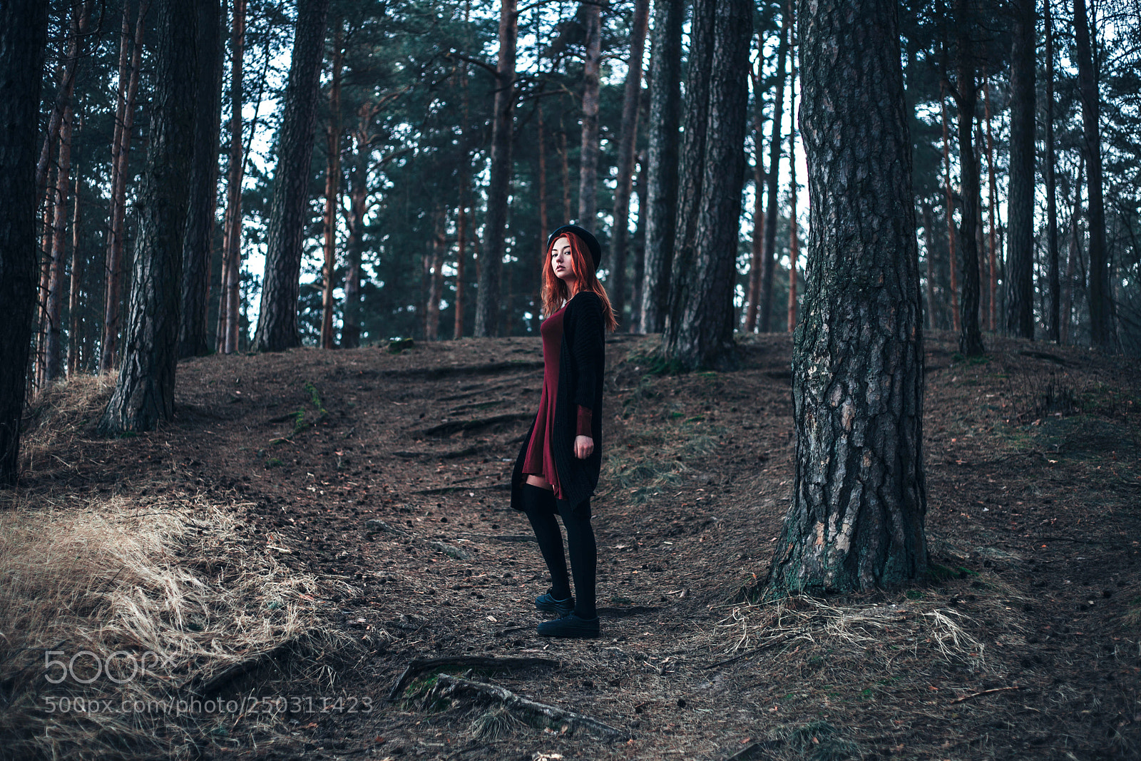 Canon EOS 5D Mark II sample photo. Polina photography