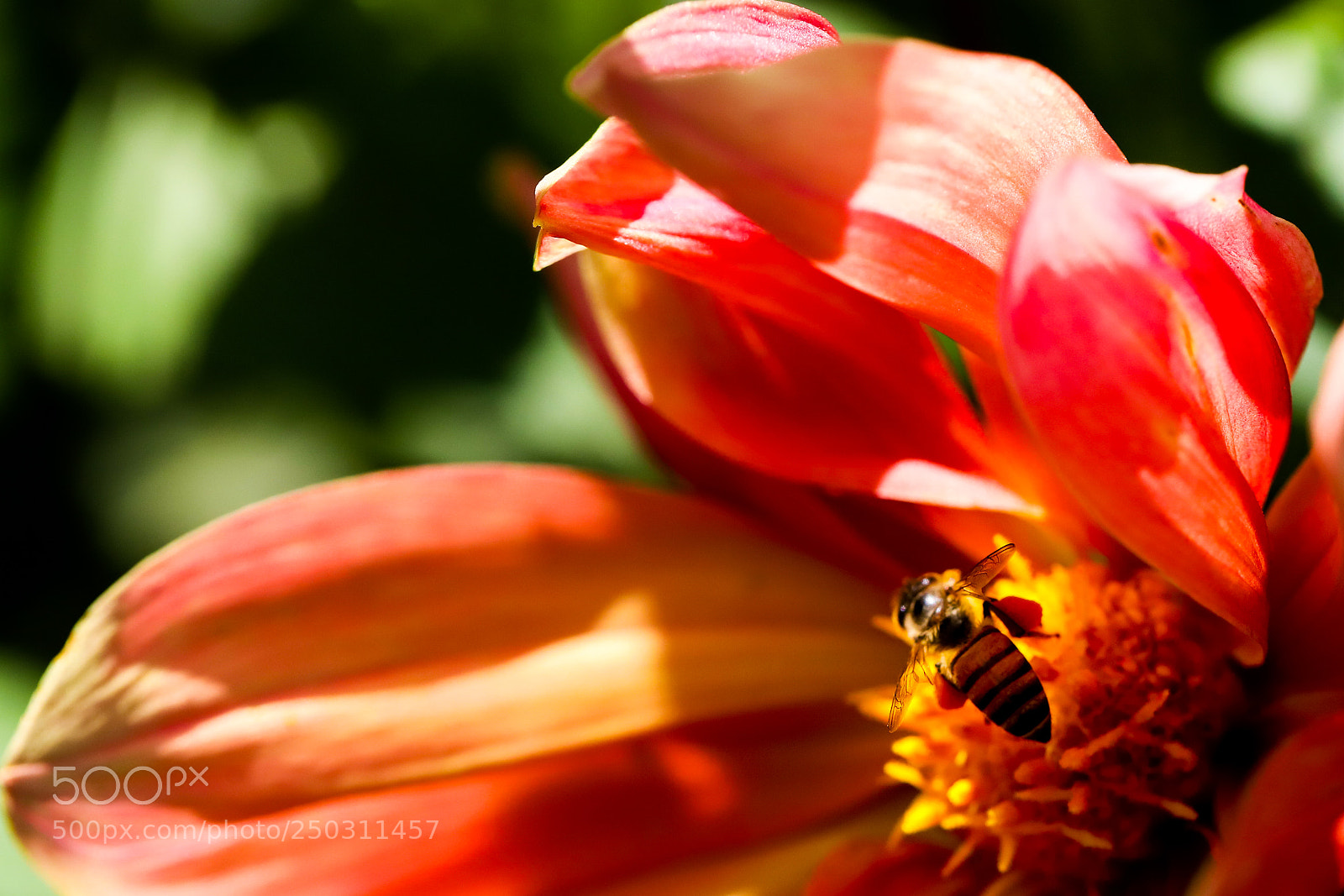 Canon EOS 6D Mark II sample photo. Untitled photography