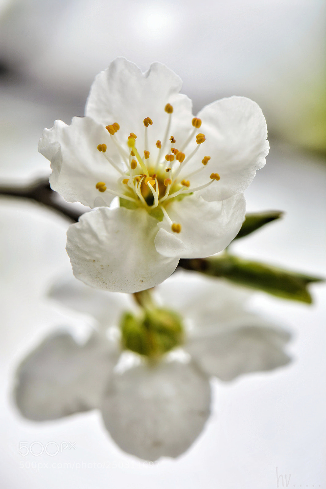 Nikon D7100 sample photo. Light and mirror photography