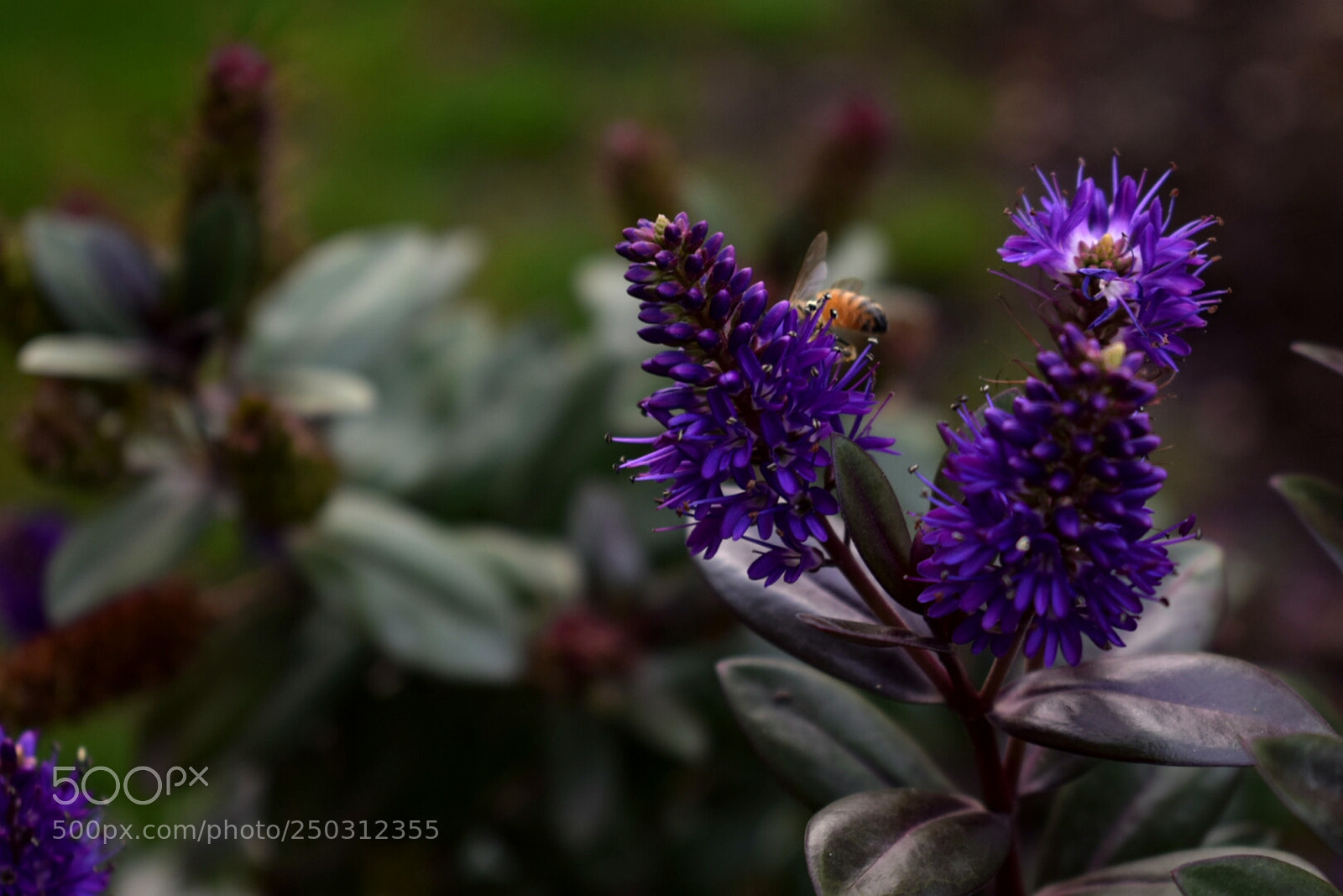 Nikon D5300 sample photo. Untitled photography