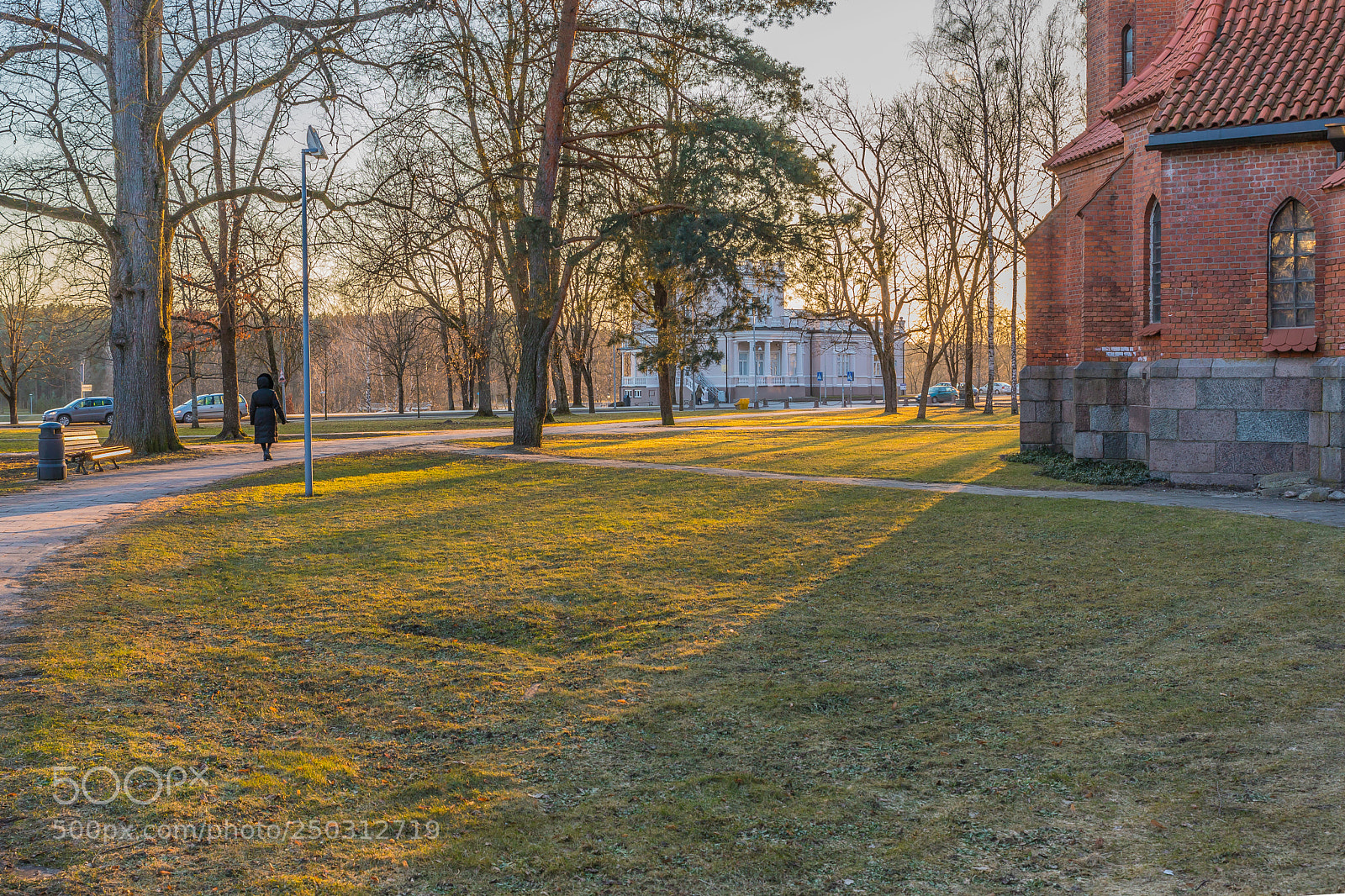 Canon EOS 6D Mark II sample photo. Golden light photography