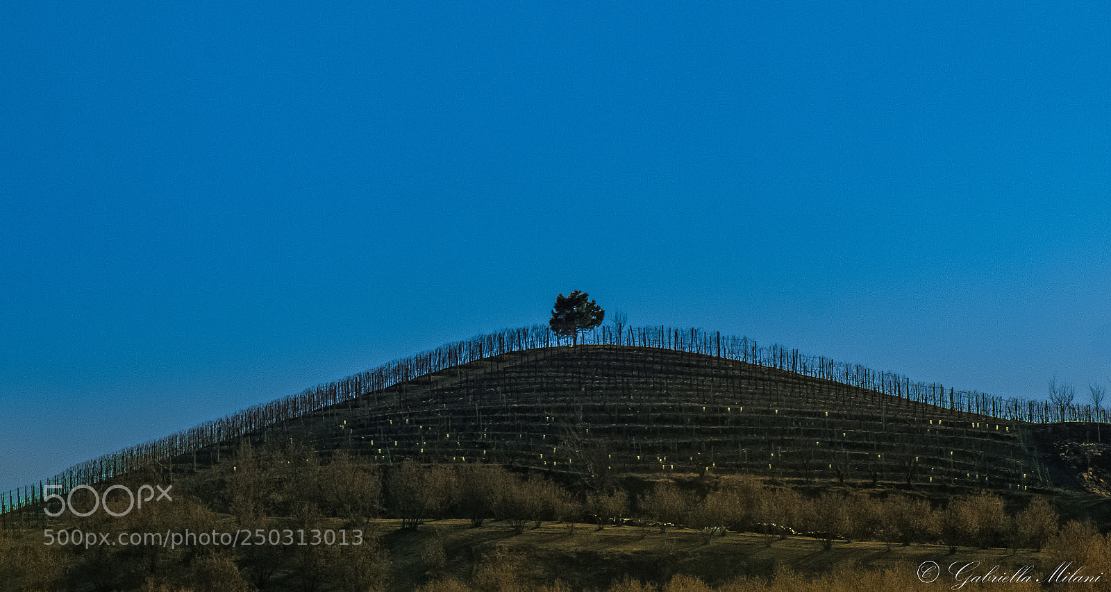 Canon EOS 70D sample photo. Langhe photography