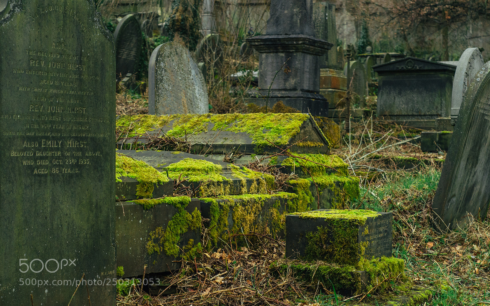 Nikon D7000 sample photo. Cemetery walk photography