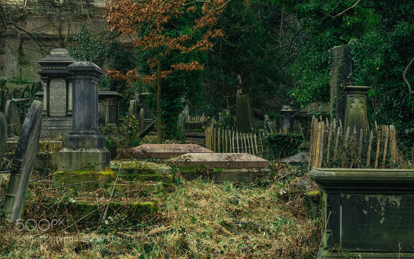 Nikon D7000 sample photo. Cemetery walk photography