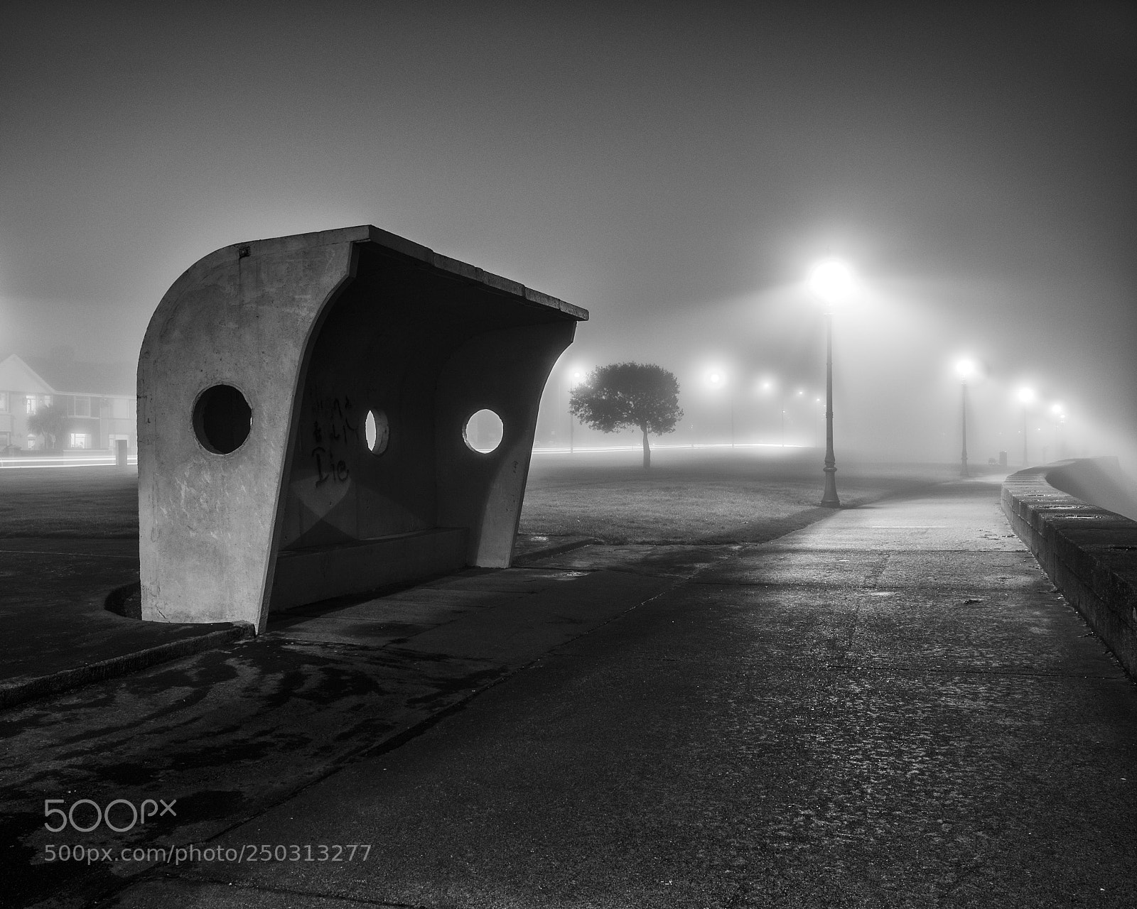 Nikon D7000 sample photo. Clontarf promenade on a photography