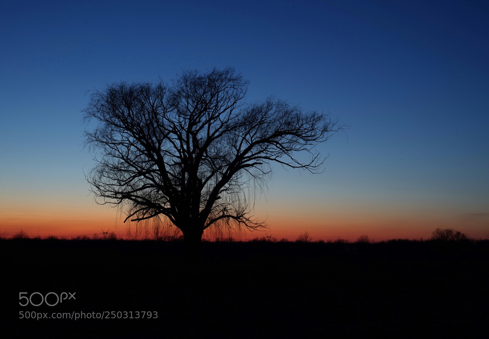Sony a7 II sample photo. Morris illinois sunset  photography