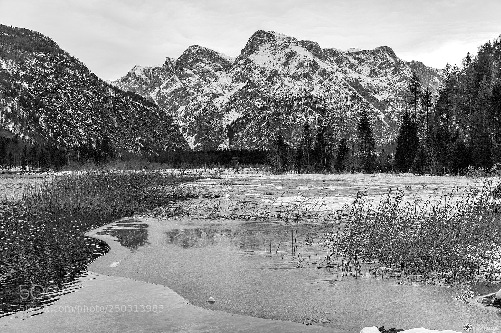Canon EOS 5D Mark IV sample photo. Almsee photography