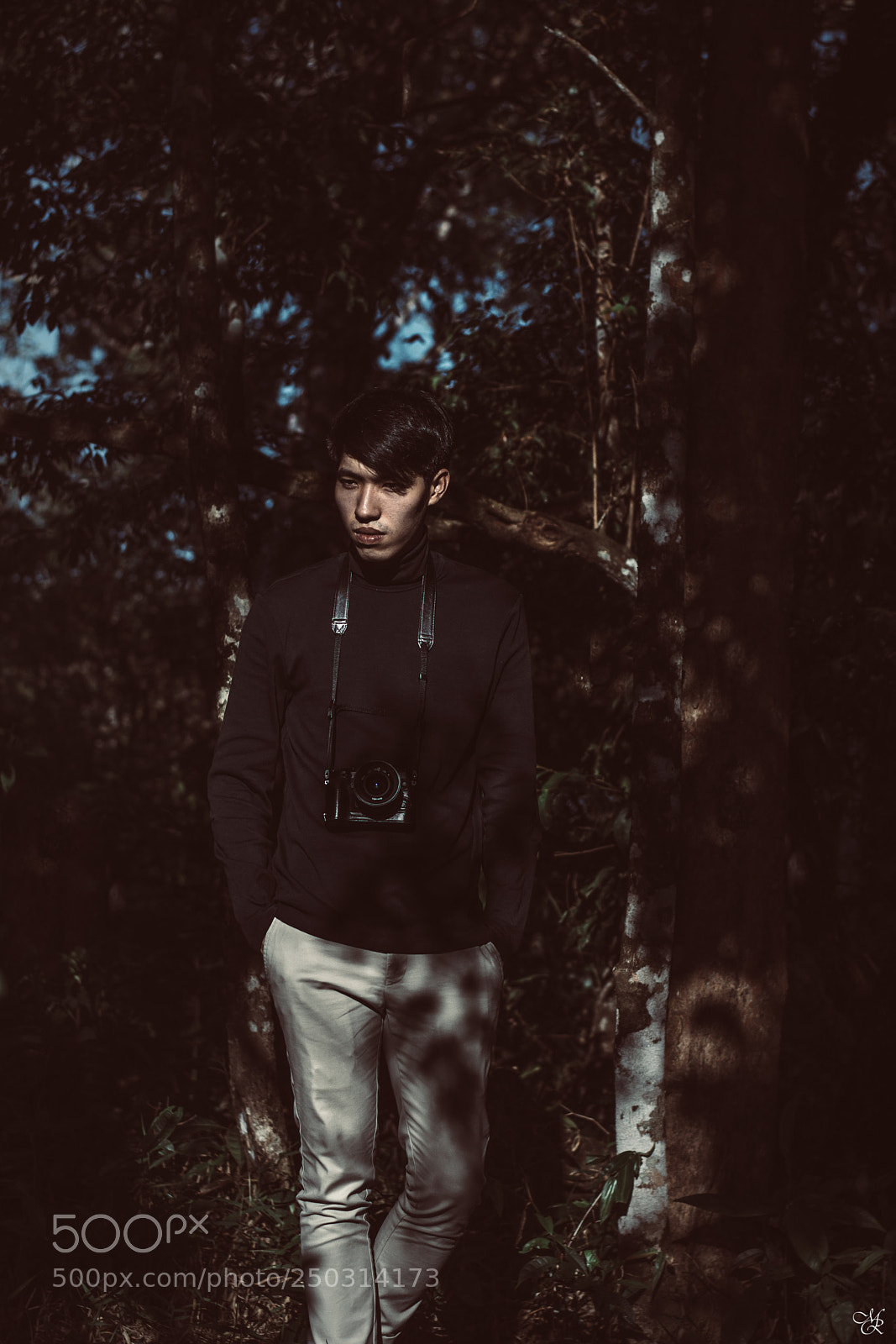 Nikon D7100 sample photo. Into the wood photography