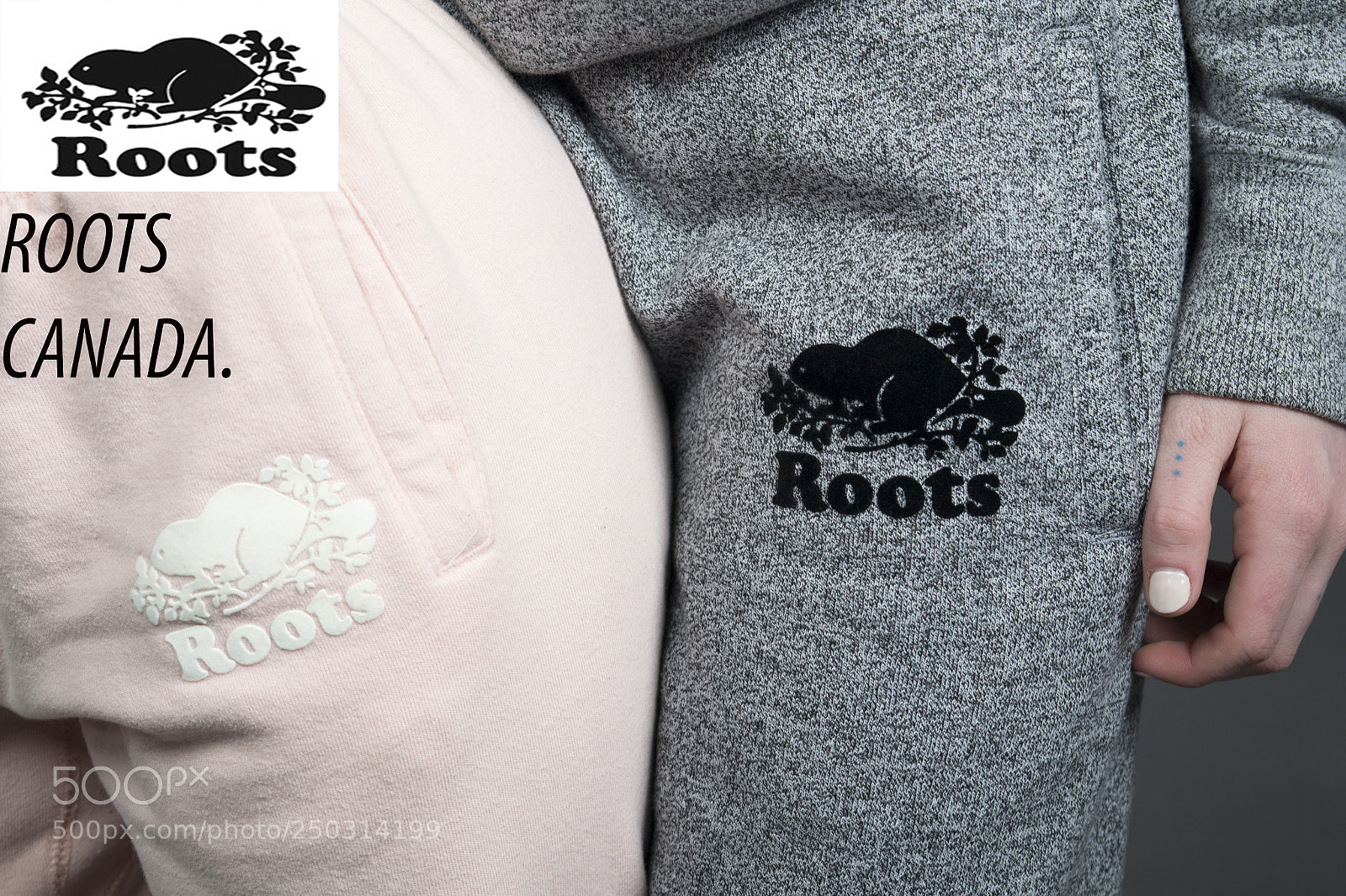 Nikon D3100 sample photo. Roots photography