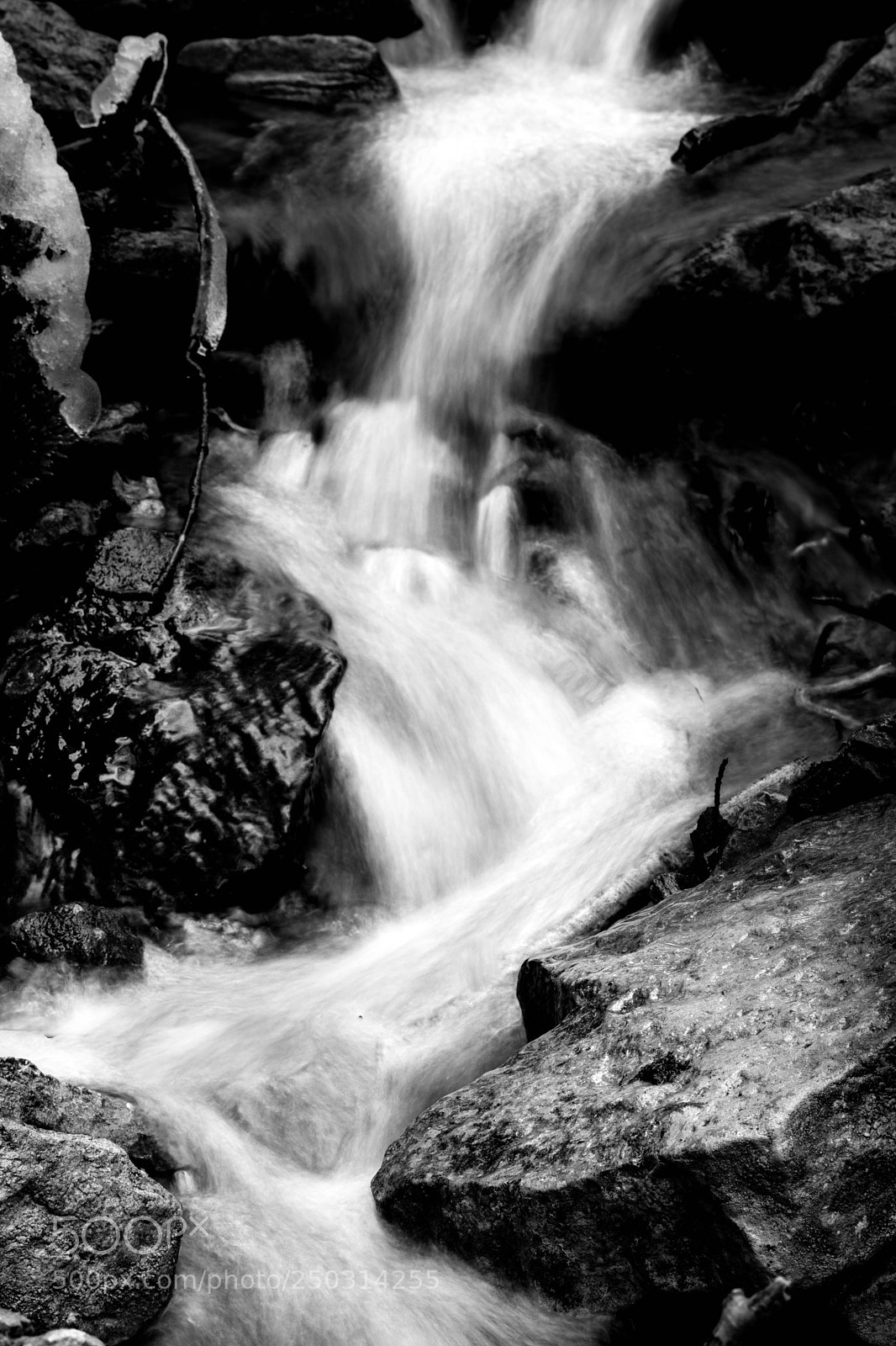 Nikon D7200 sample photo. Little creek photography