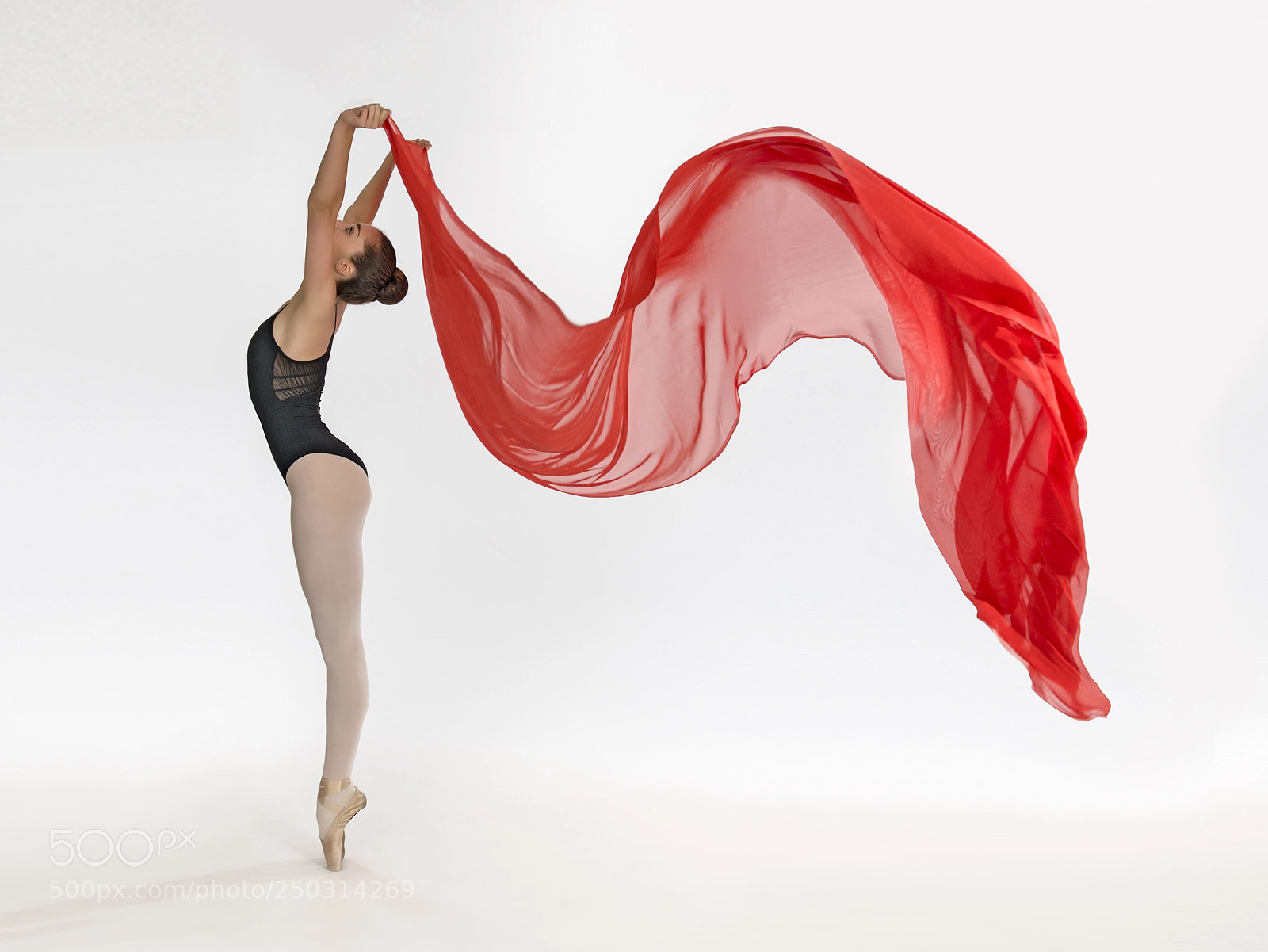 Nikon D800 sample photo. Curves photography