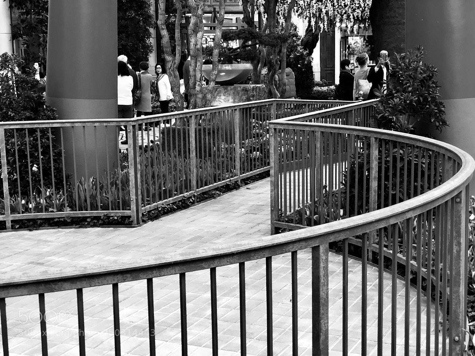 Apple iPhone 8 Plus sample photo. Railings photography