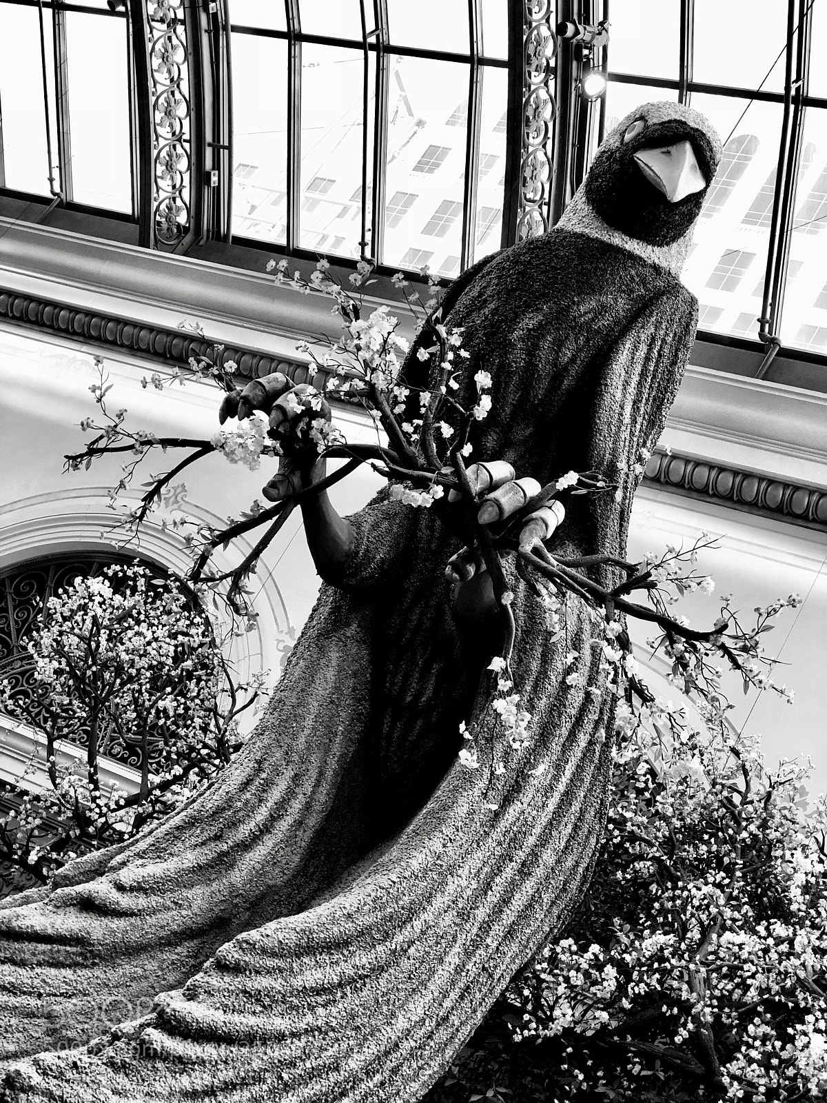 Apple iPhone 8 Plus sample photo. Birds of bellagio photography