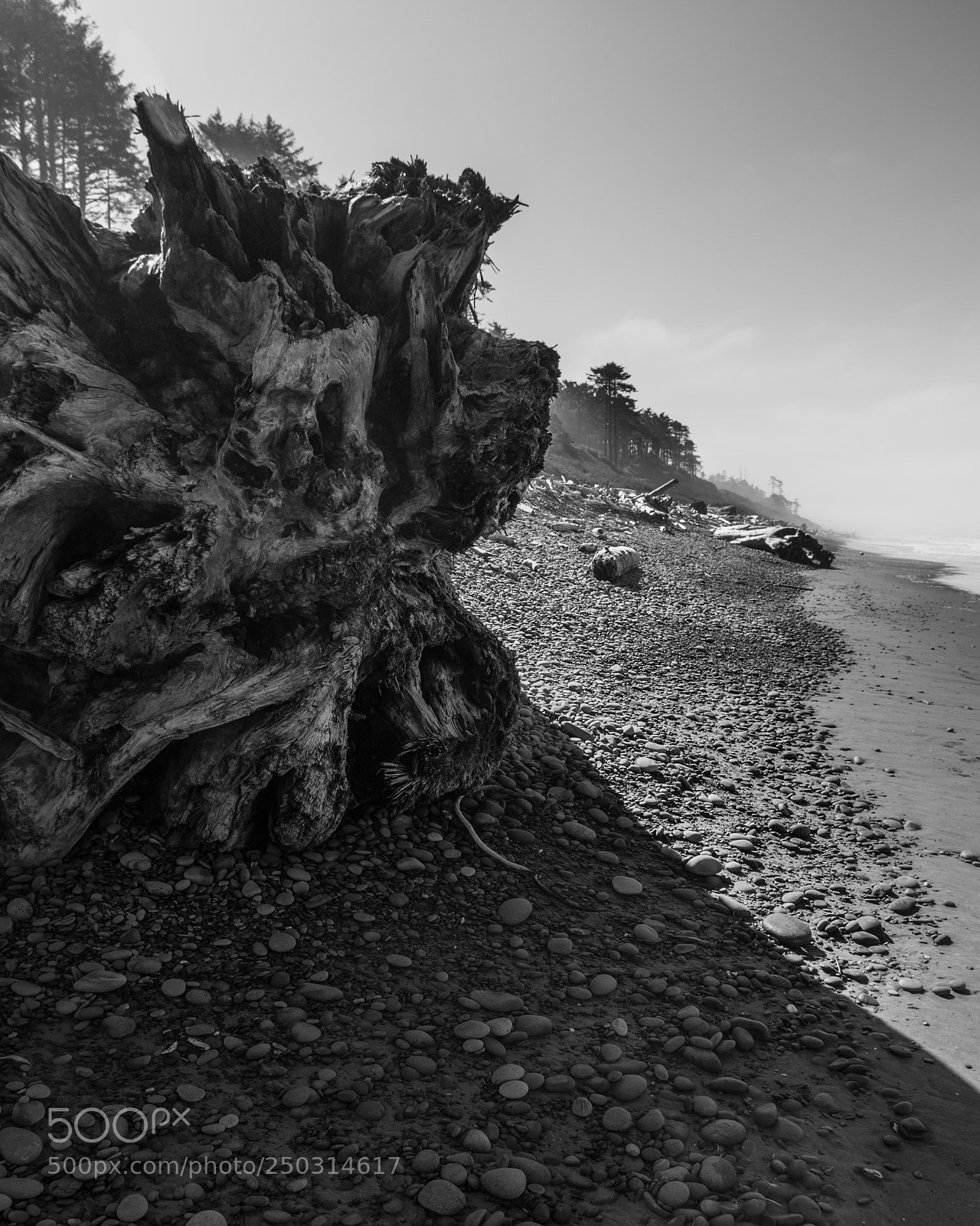 Nikon D90 sample photo. Exposed photography