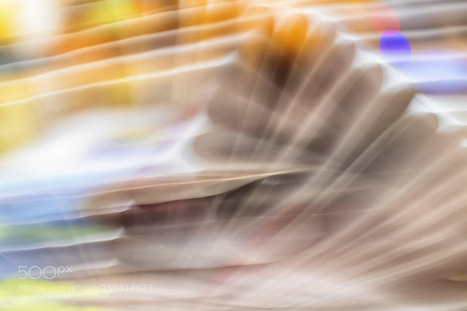 Canon EOS 7D Mark II sample photo. Img photography