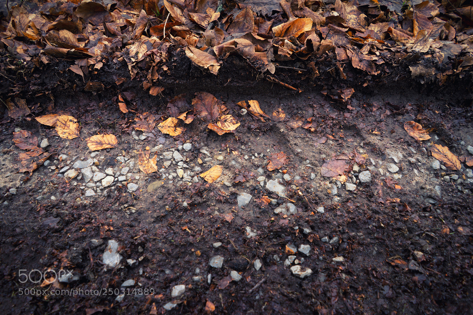 Sony a7 sample photo. Tire track in the photography