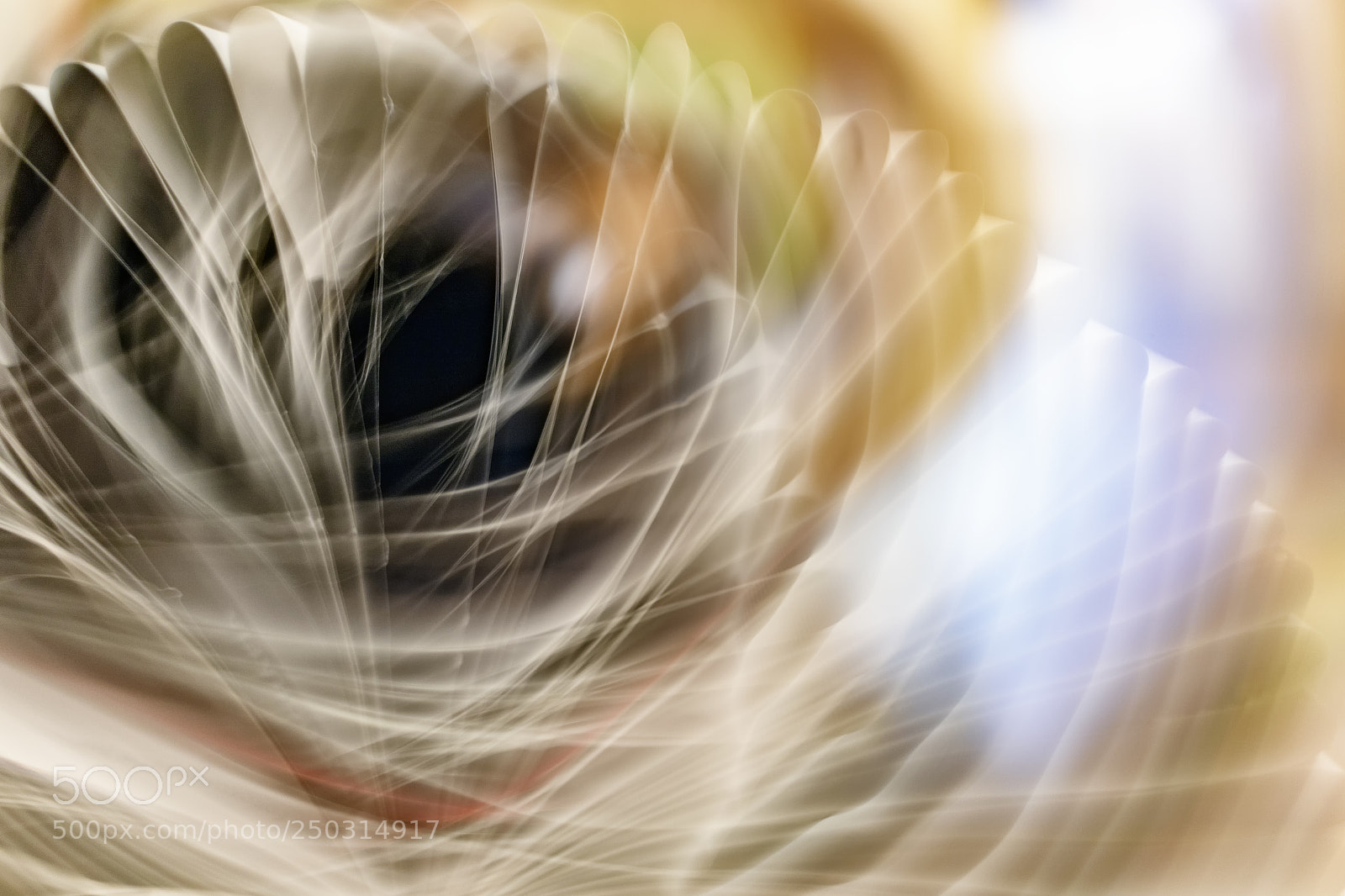 Canon EOS 7D Mark II sample photo. Img photography