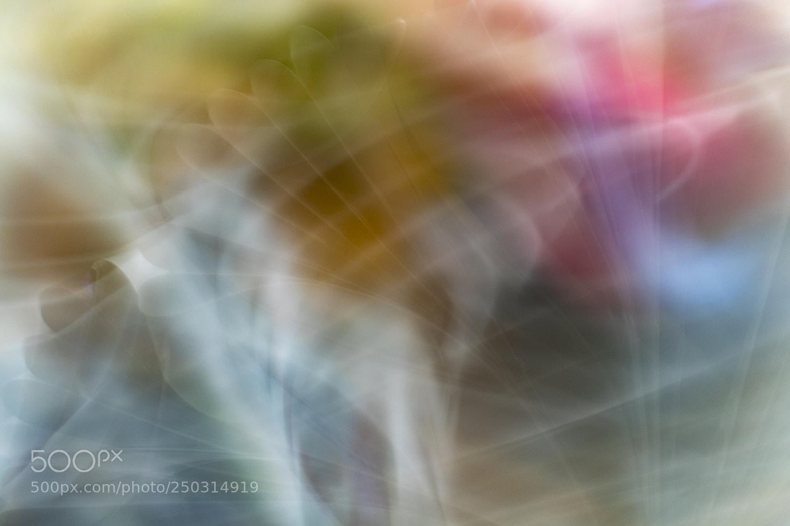 Canon EOS 7D Mark II sample photo. Img photography