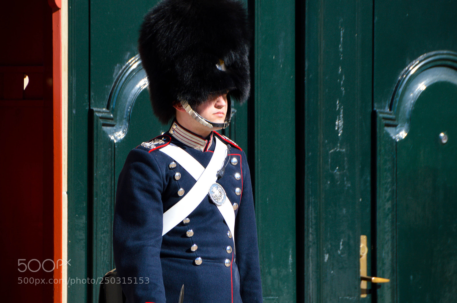 Nikon D3200 sample photo. Royal guard at amalienborg photography