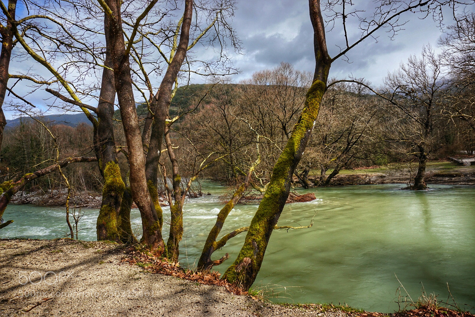 Sony a6000 sample photo. Nature photography