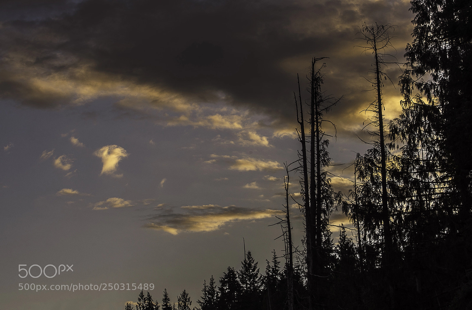 Sony a7R sample photo. Waning day photography