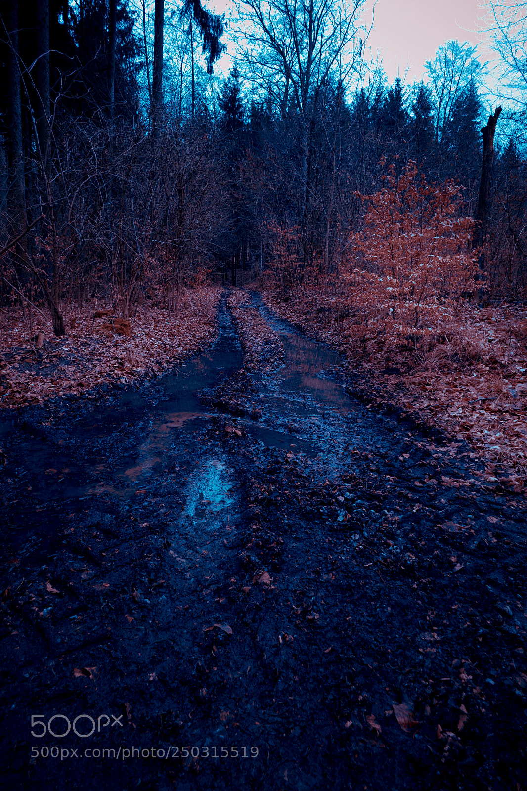 Sony a7 sample photo. Dirt way deep into photography
