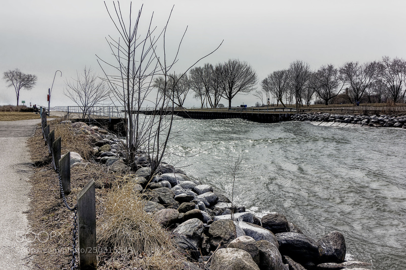 Canon EOS 550D (EOS Rebel T2i / EOS Kiss X4) sample photo. Marie curtis park photography