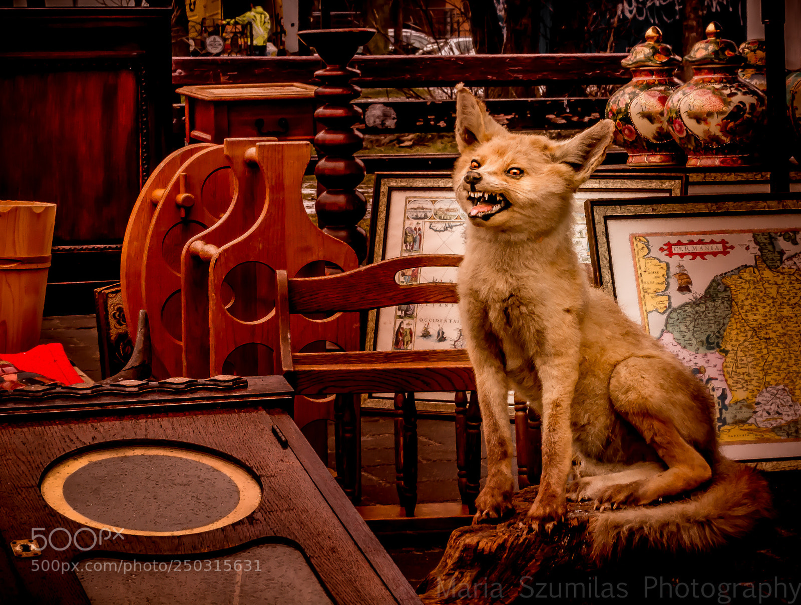 Nikon D7100 sample photo. Guardian of the ages photography