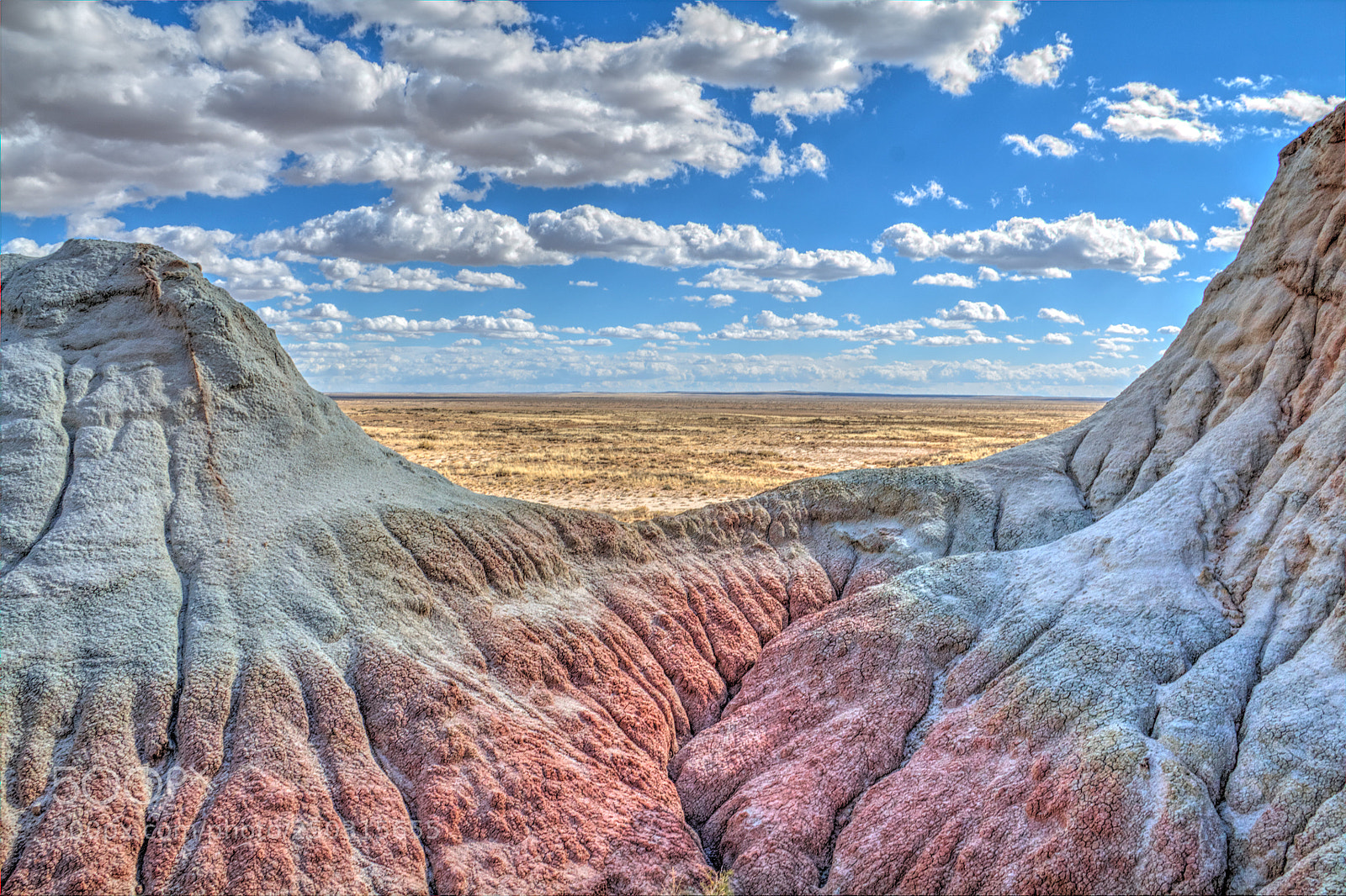 Canon EOS 60D sample photo. Honeycombs frame wyoming's red photography