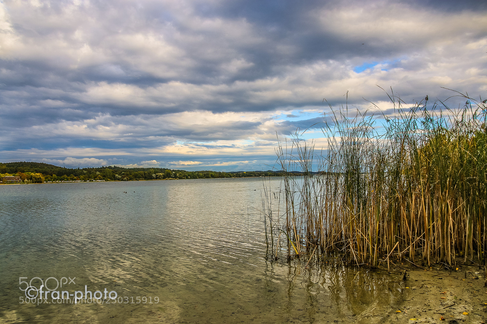 Canon EOS 70D sample photo. Bodensee bei radolfzell photography