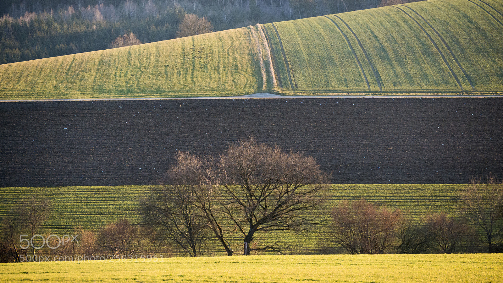 Panasonic DMC-G70 sample photo. Spring on countryside photography