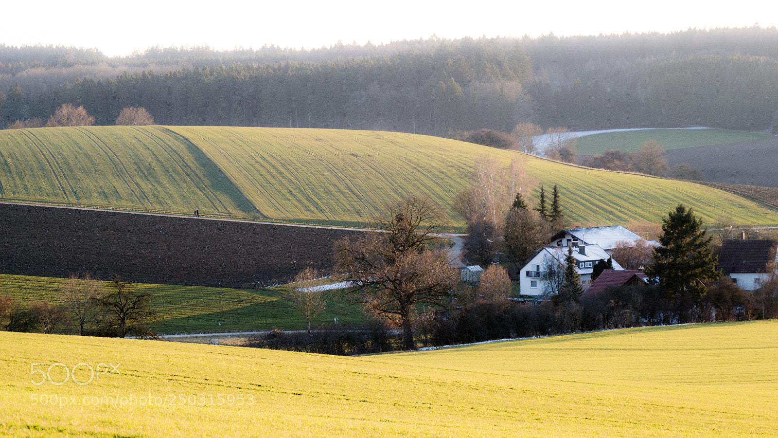 Panasonic DMC-G70 sample photo. Spring on countryside photography