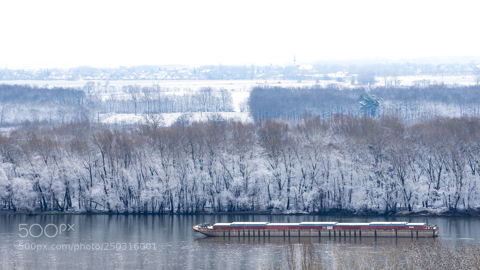 Sony a7 II sample photo. Stubborn winter photography