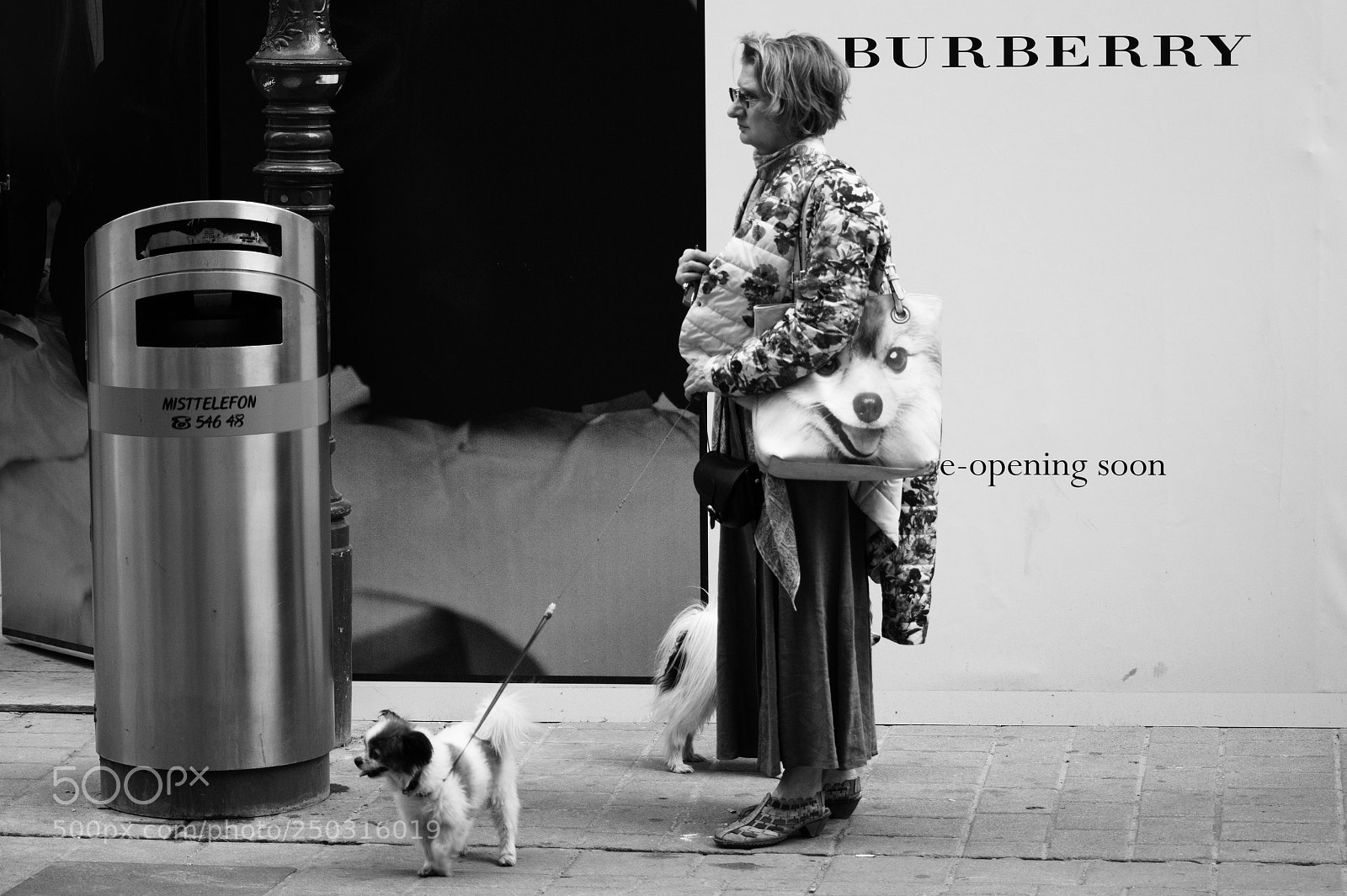 Sony SLT-A58 sample photo. Wien.vienna.pets. photography