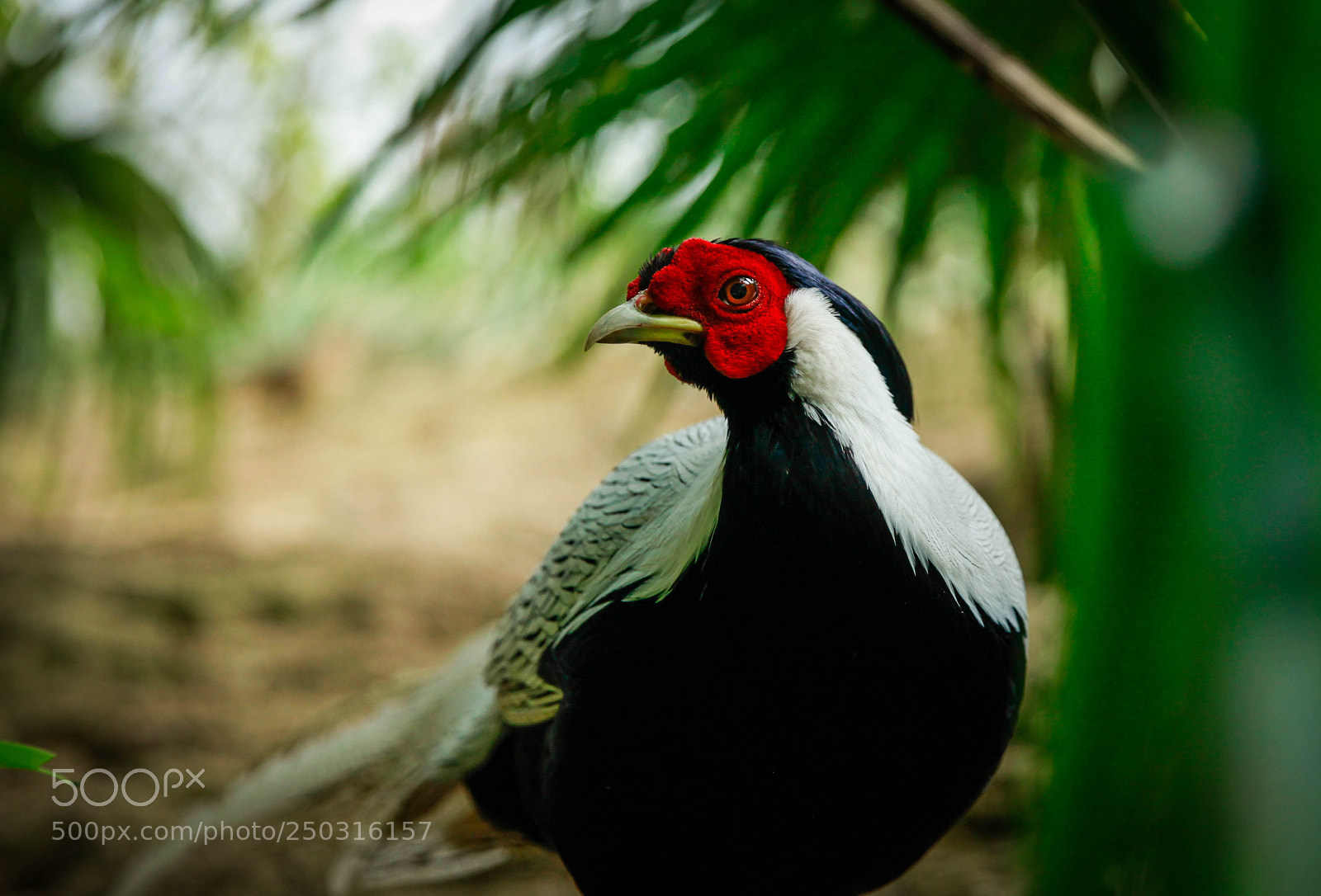 Canon EOS 5D Mark II sample photo. Untitled photography