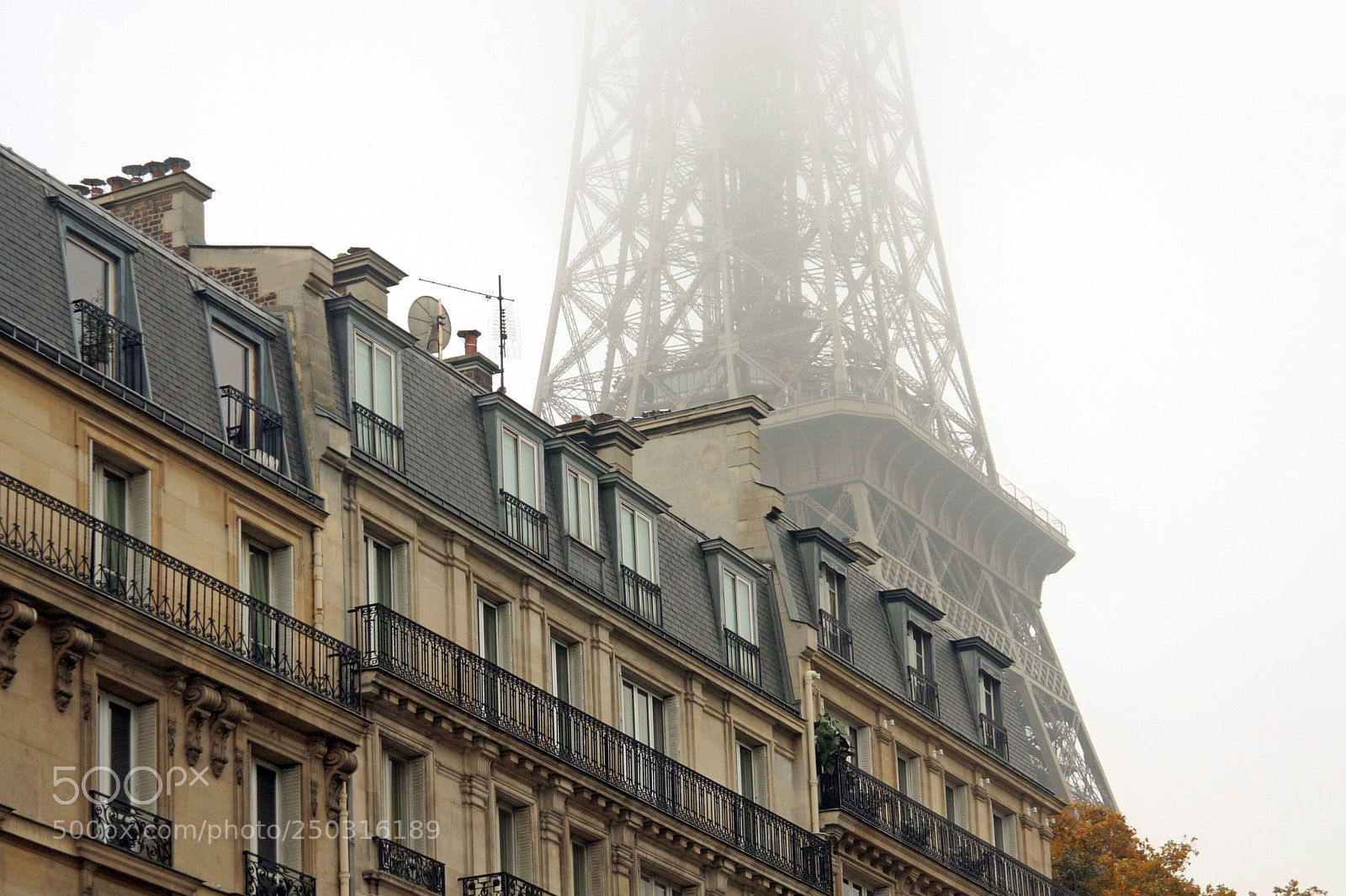 Canon EOS 40D sample photo. Foggy tower photography