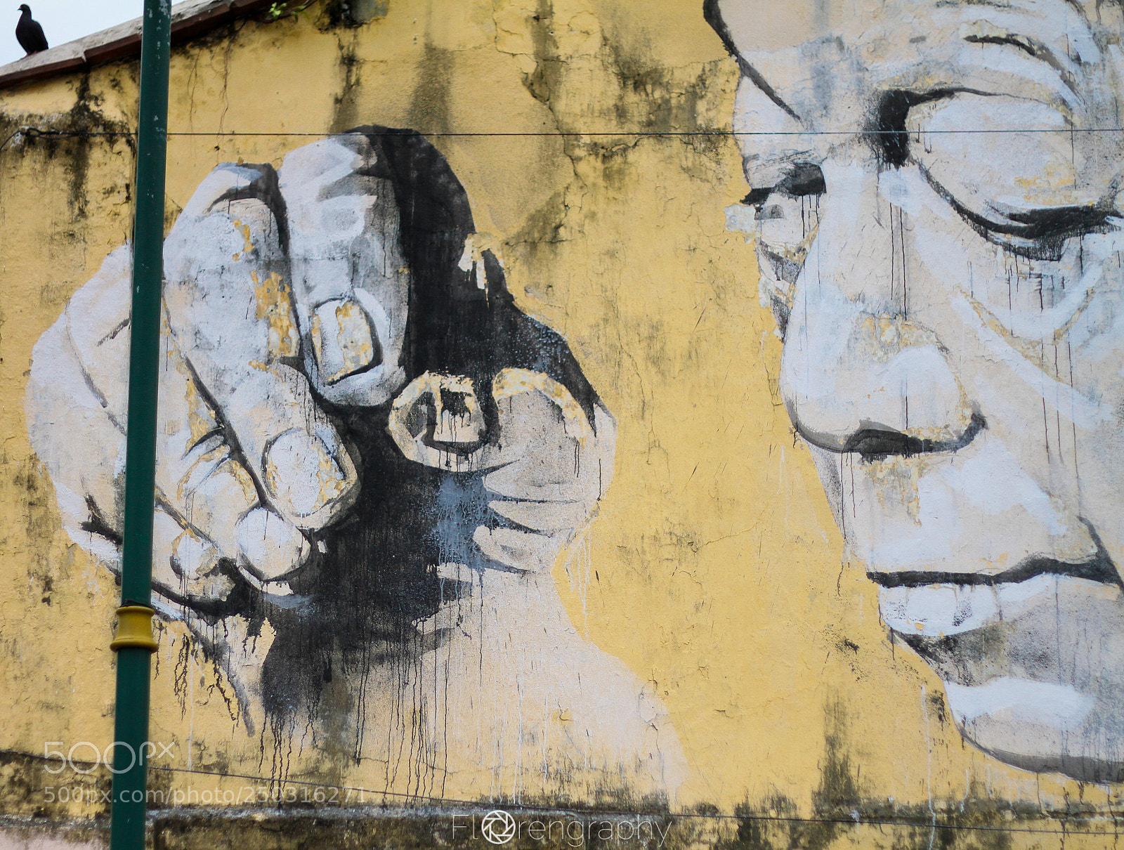 Canon EOS 7D sample photo. Storytelling wall photography
