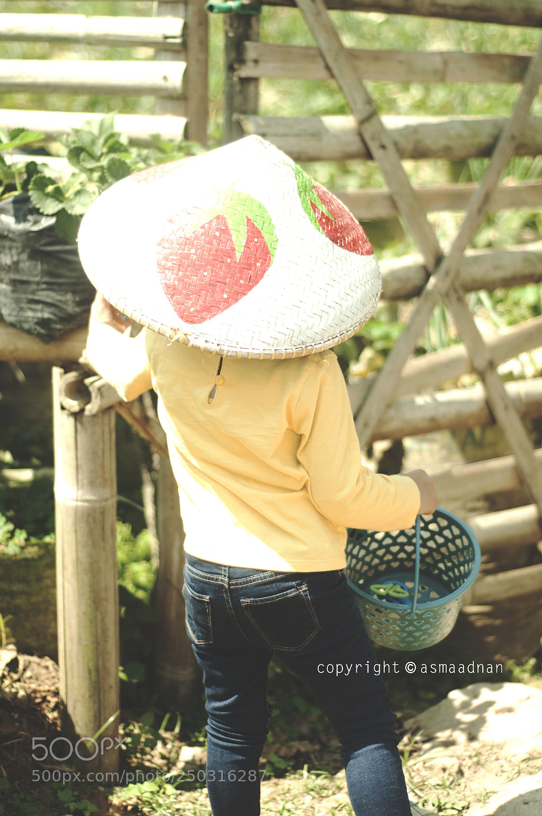 Nikon D90 sample photo. At the strawberry garden photography