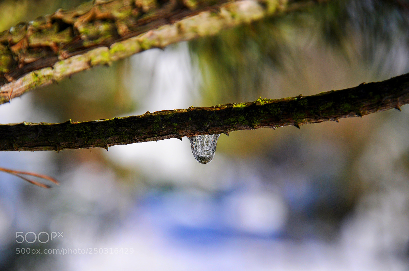 Nikon D90 sample photo. Untitled photography