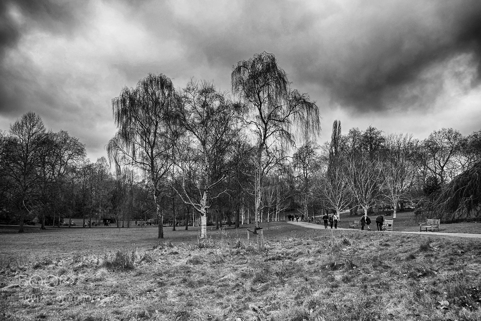 Nikon D5300 sample photo. Hyde park photography