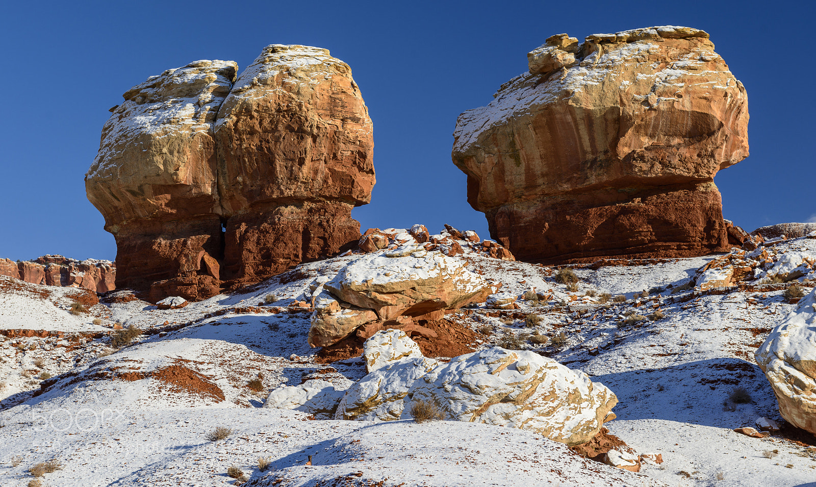 Nikon D800 sample photo. The twins photography
