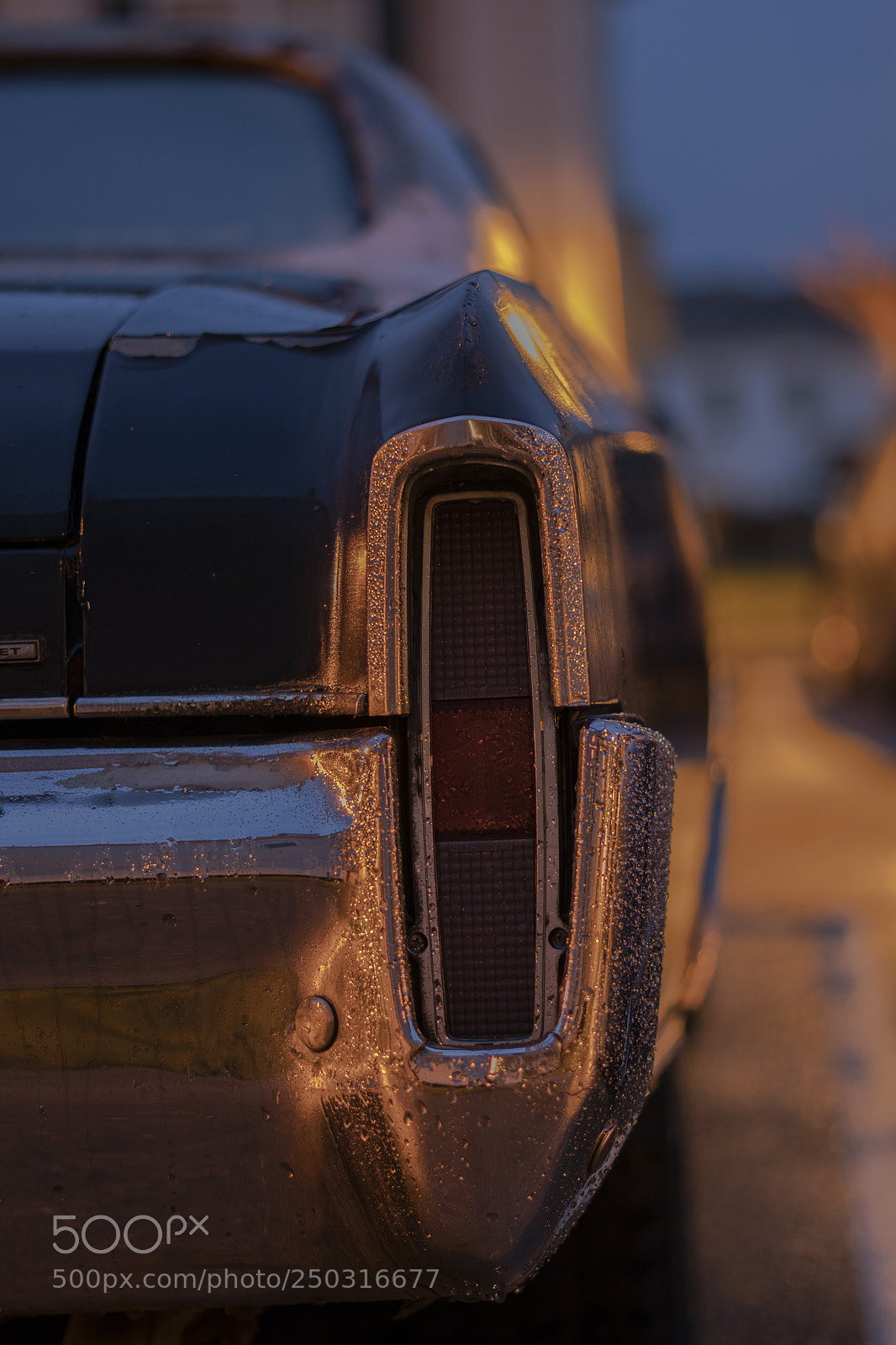 Sony a6300 sample photo. Eefdf o photography