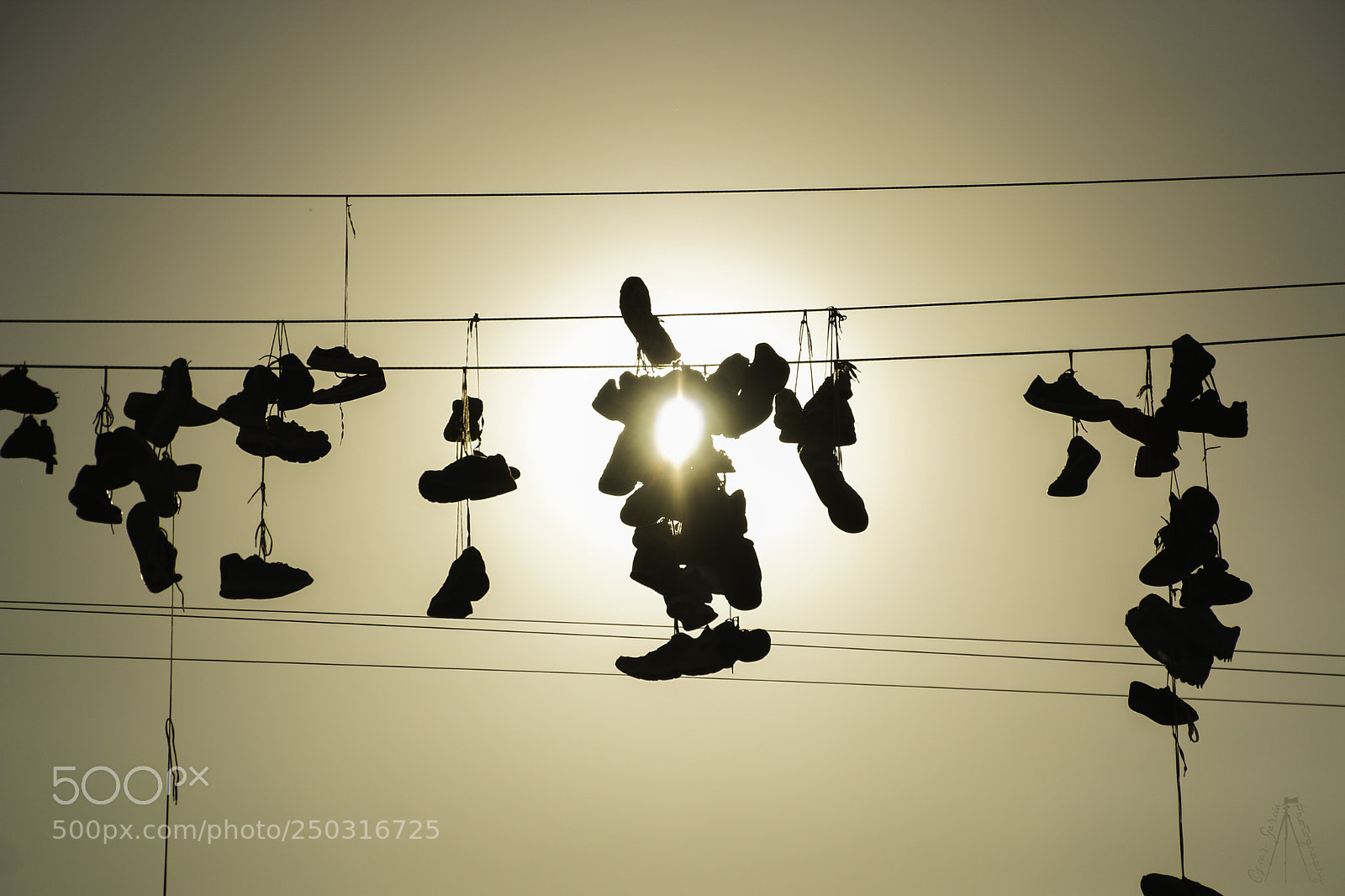 Canon EOS 70D sample photo. Hanging photography