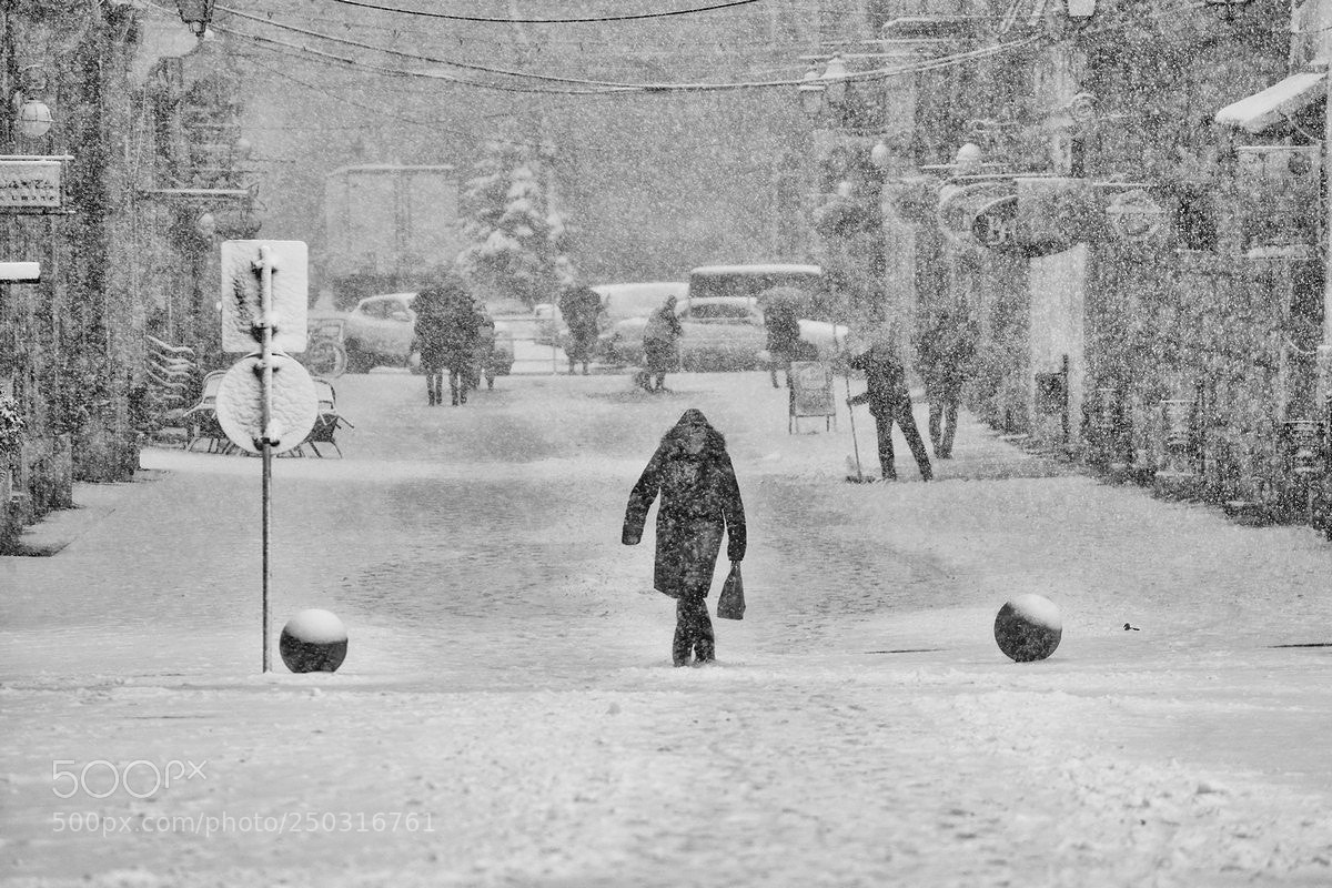 Nikon D800E sample photo. Frozen times photography