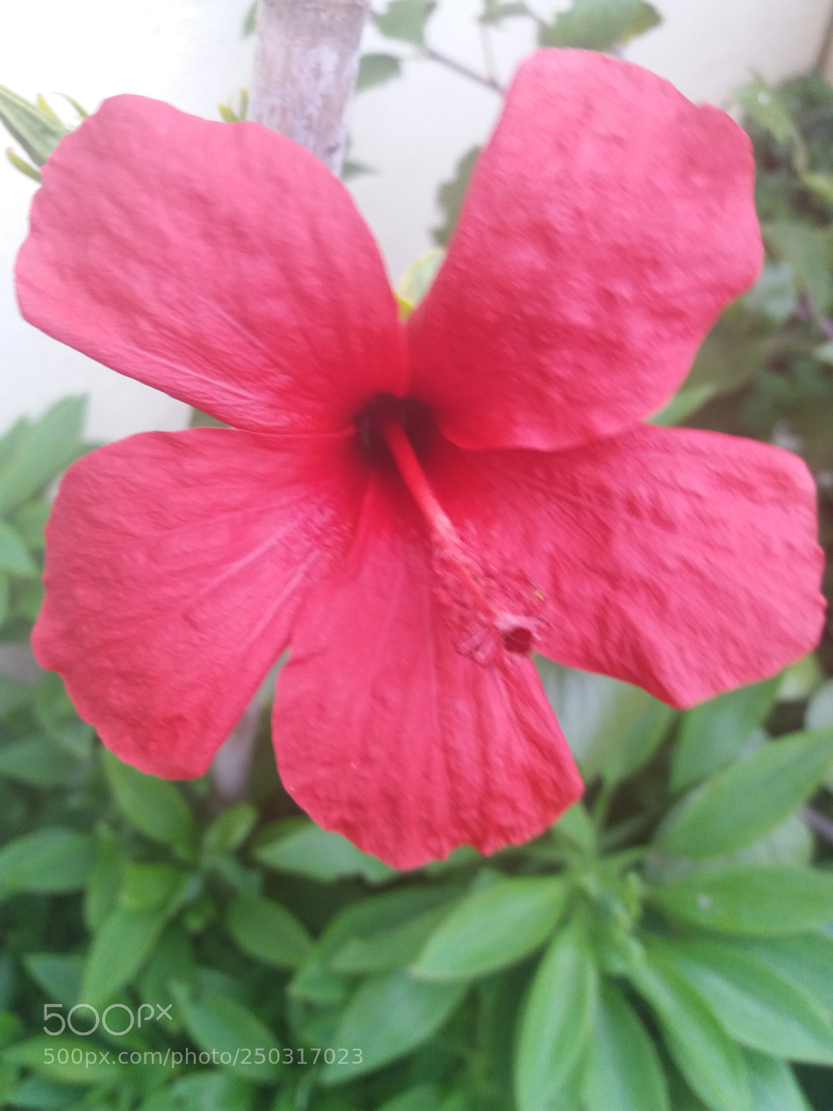 Samsung Galaxy J5(2016) sample photo. 20180313_173432.jpg photography